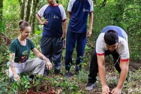 Plantando no MEA: comunidade é convidada a contribuir com ação ambiental em Horizontina